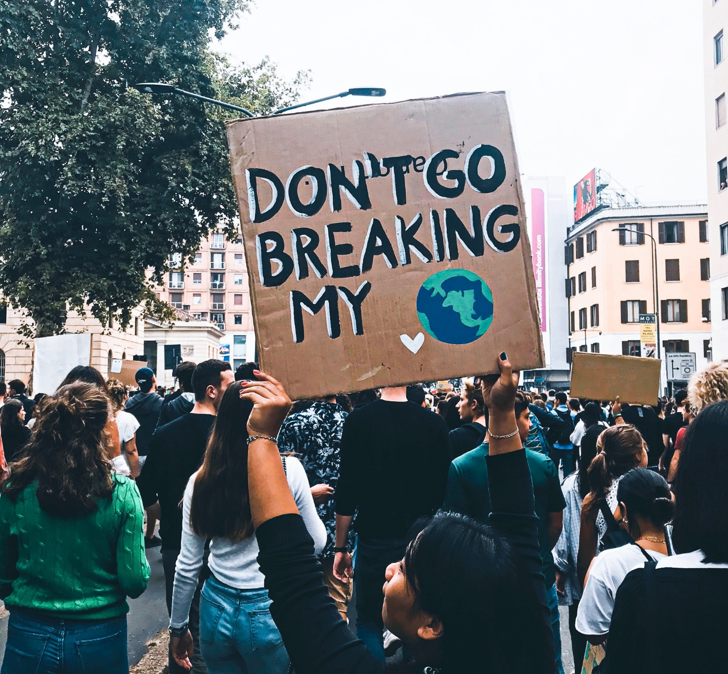 CREATING GREAT GIN ON A RENEWABLE PLATFORM